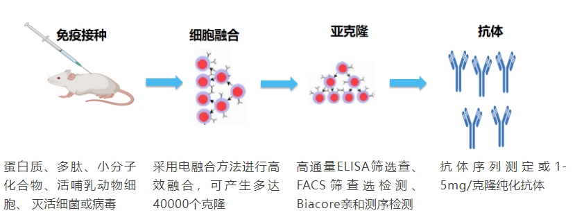 杂交瘤技术.png 杂交瘤技术.png